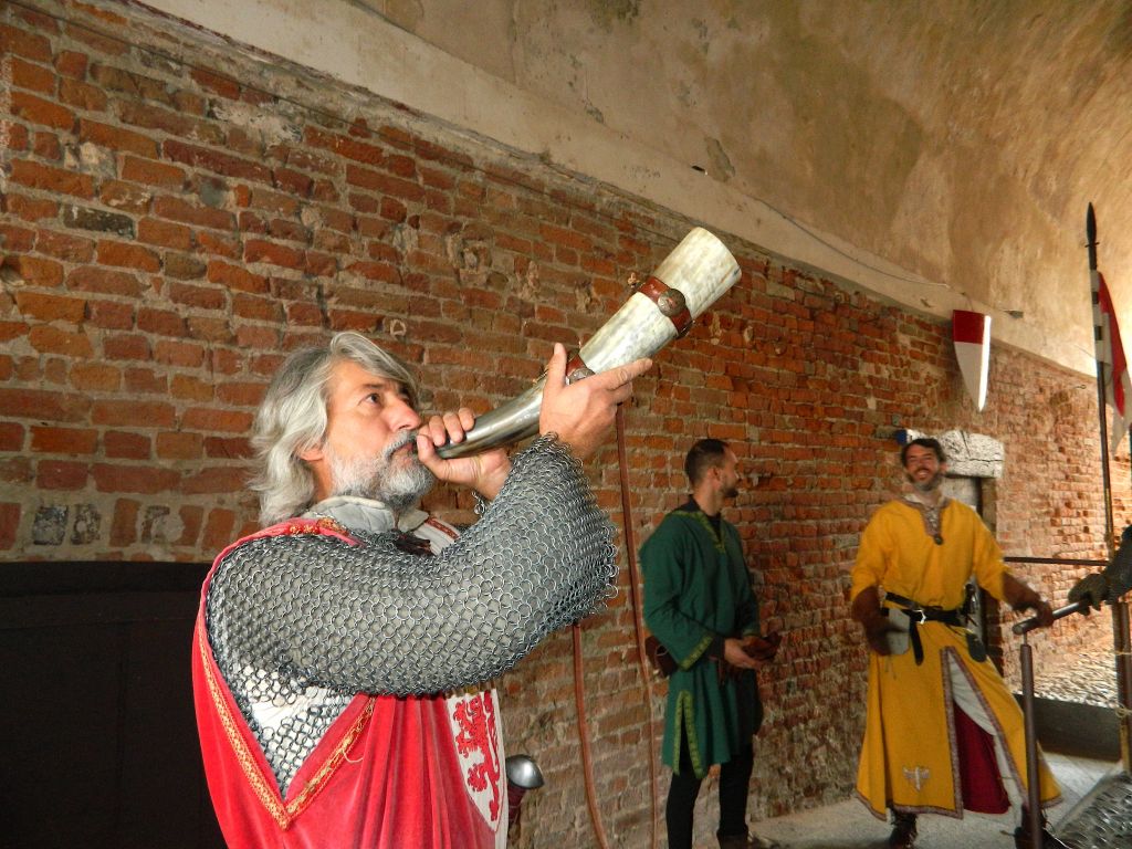 Mostre al Castello (3)